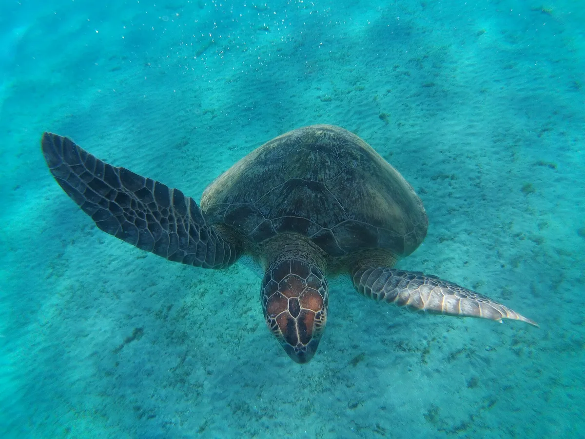 Marsa Alam