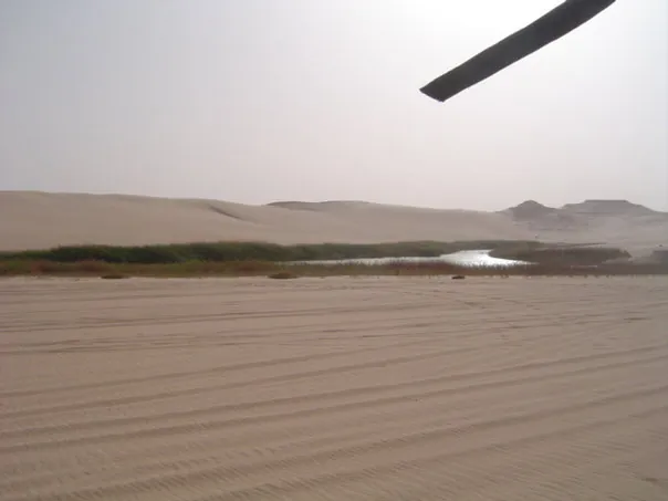 Siwa Oasis